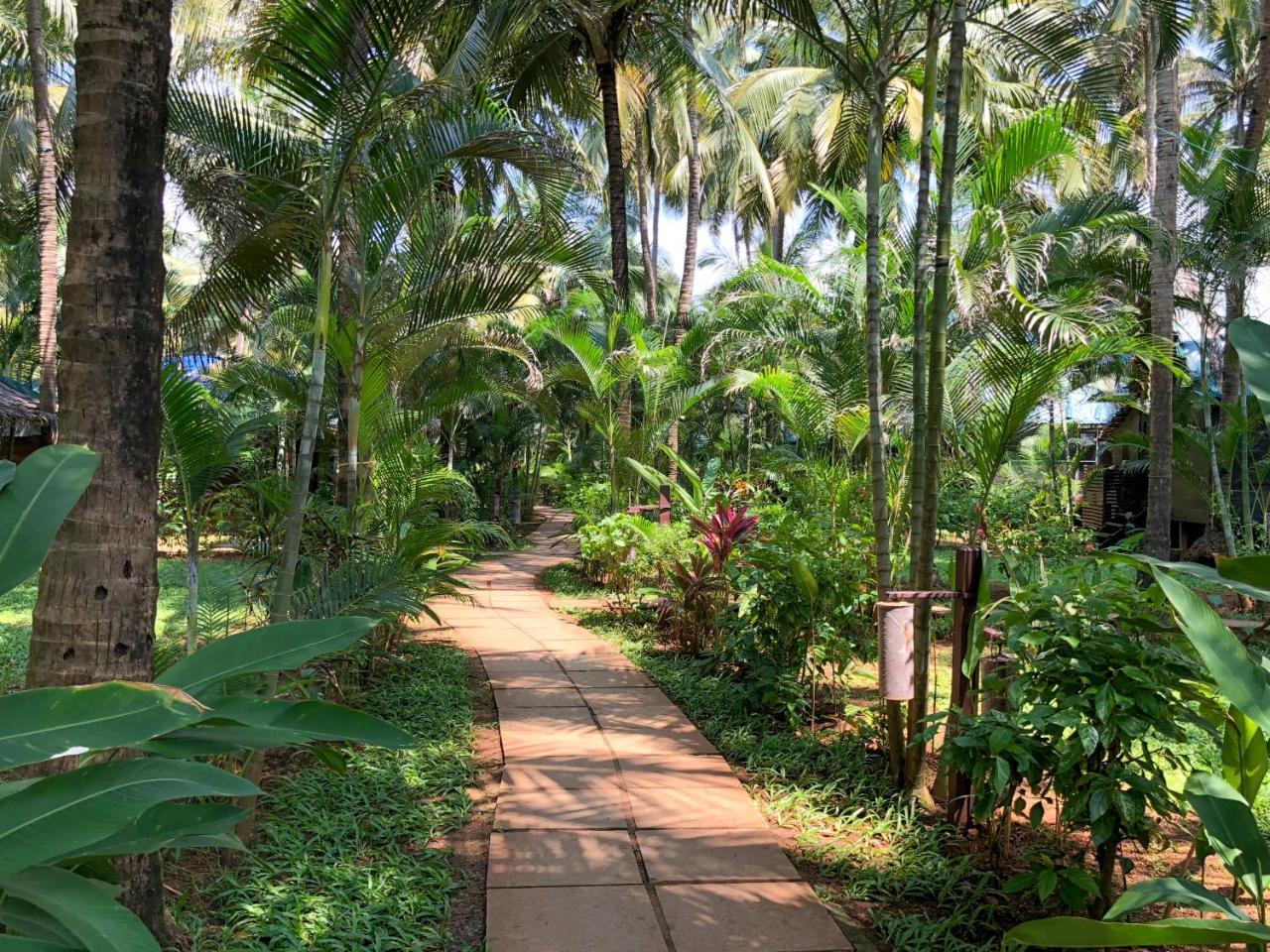 Leela Cottages Morjim Exterior foto